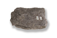M 01996
<br/>
<br/>
<em></em>